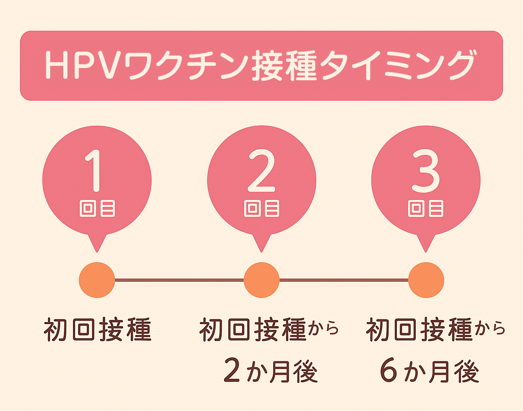 HPVワクチン接種対象とスケジュール