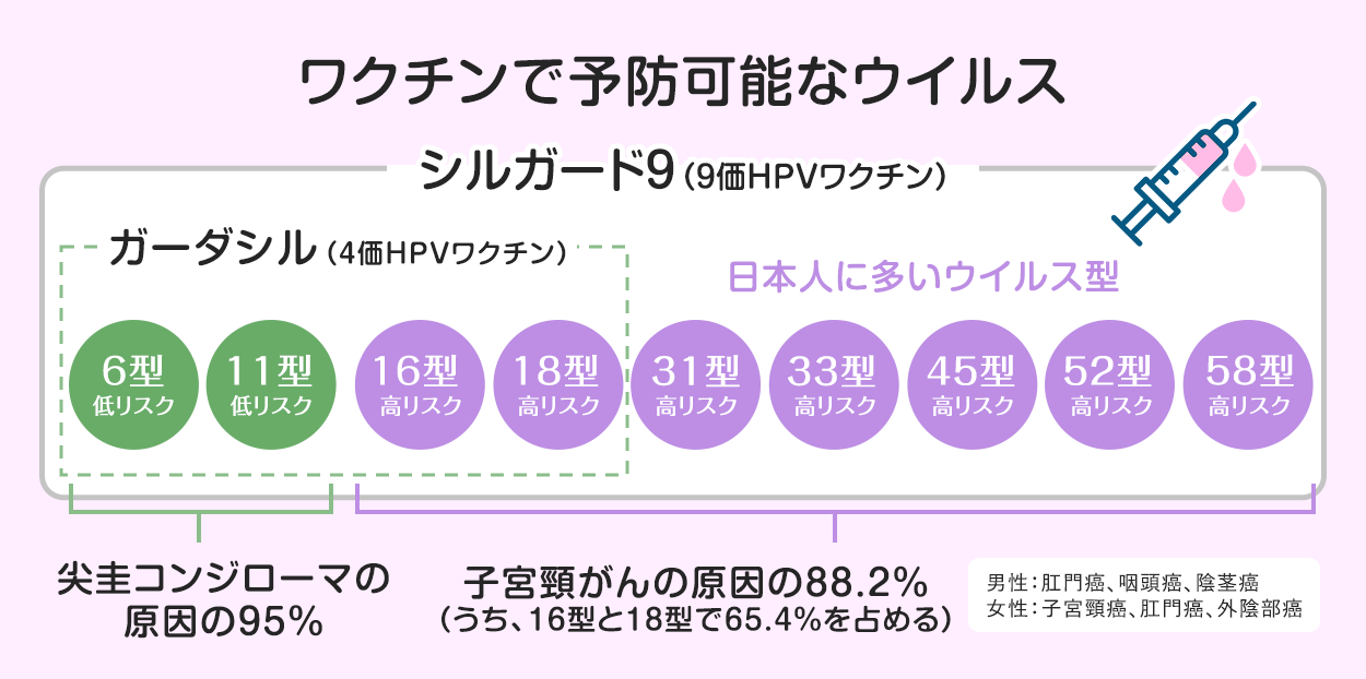 HPVワクチンの種類と対応ウイルス