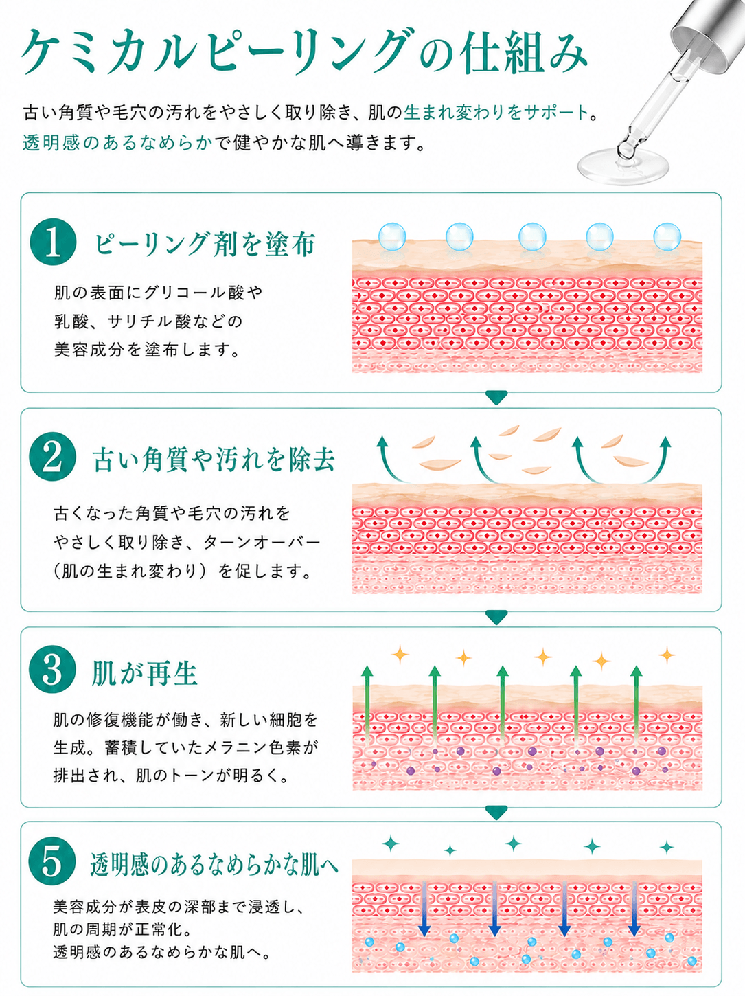 ケミカルピーリングの仕組み
